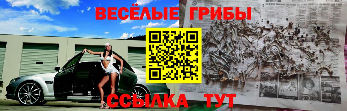 Галлюциногенные грибы Psilocybine cubensis Бугульма
